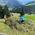 Pfandlinghof *