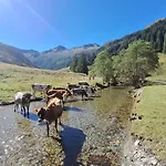 Pfandlinghof Lägenhet *