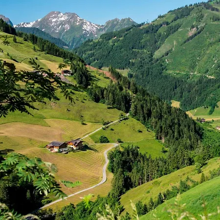 Pfandlinghof Appartement *