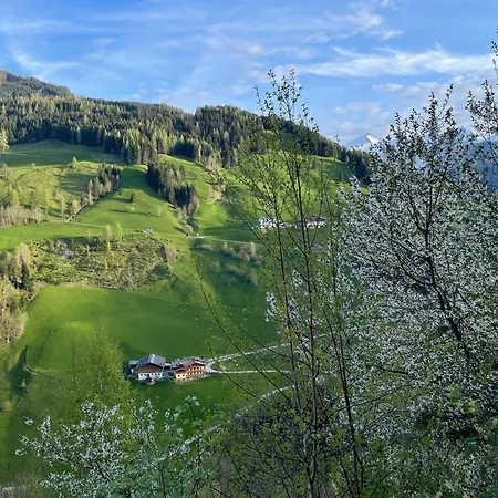 아파트 Pfandlinghof 그로살