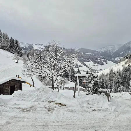 Pfandlinghof Appartement Grossarl