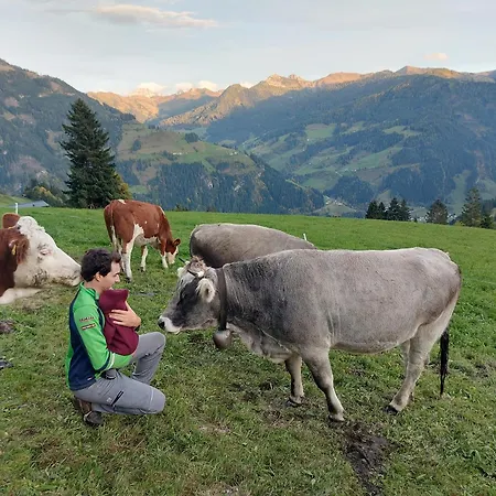 Pfandlinghof 아파트 *