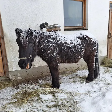 Pfandlinghof * 그로살