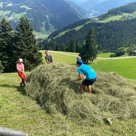 Pfandlinghof *