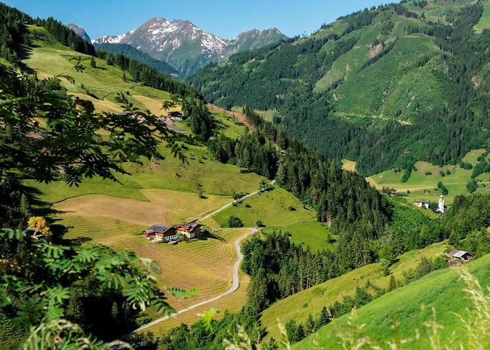 Pfandlinghof 아파트 *