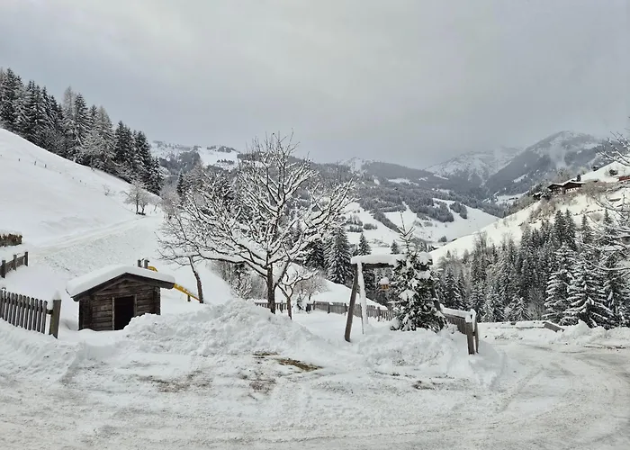 Pfandlinghof 아파트 그로살