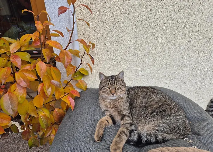 아파트 Pfandlinghof 그로살