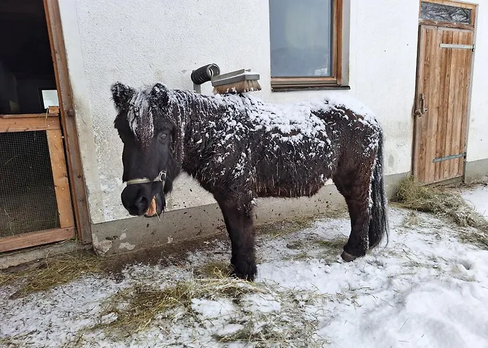 Pfandlinghof * 그로살