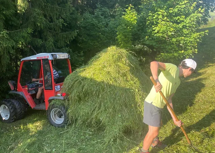 Pfandlinghof 아파트 그로살