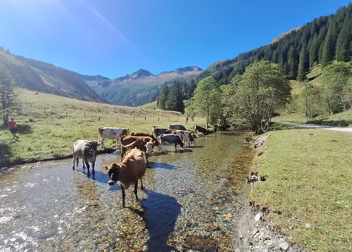 Pfandlinghof アパート *