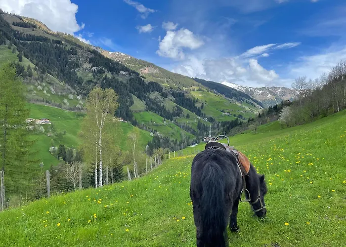 Pfandlinghof アパート *